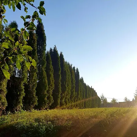 Holiday home Haris *