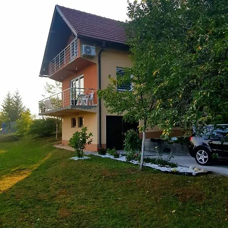 Haris Vikendica Sarajevo