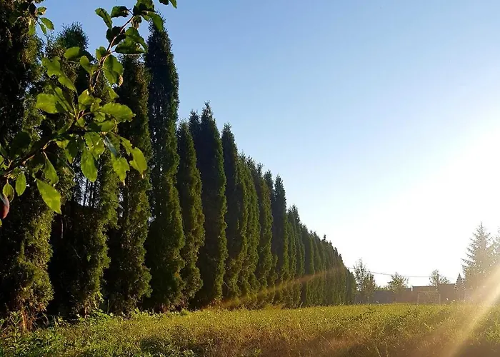 Holiday home Haris *